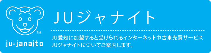 JU愛知のオークション