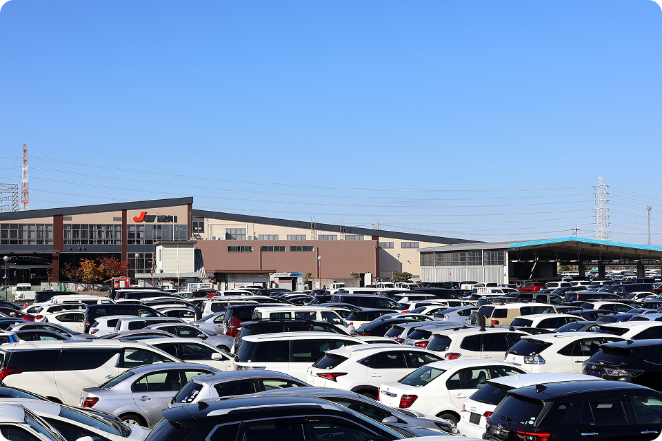 オークション外観